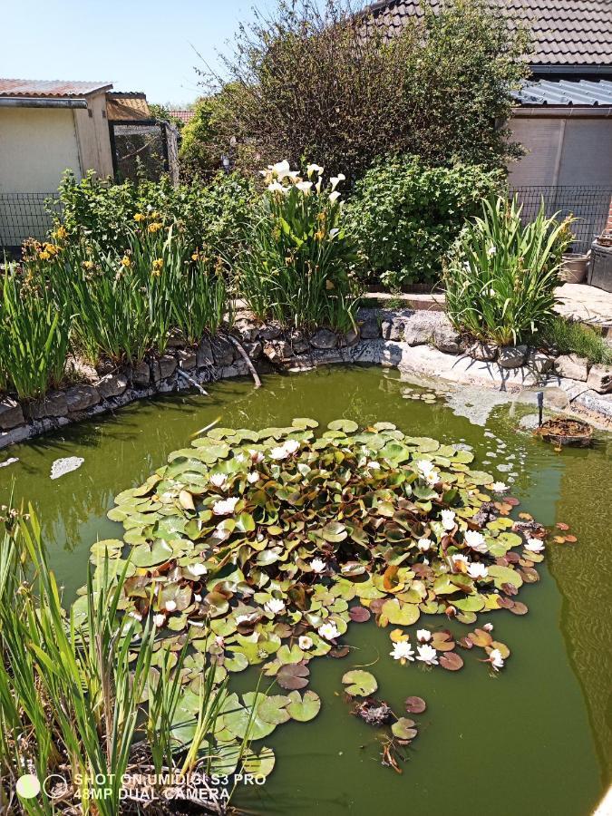 Le Lion Des Flandres Villa Ruminghem Kültér fotó